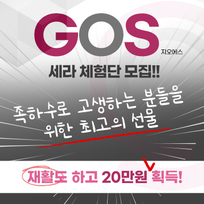 지오에스